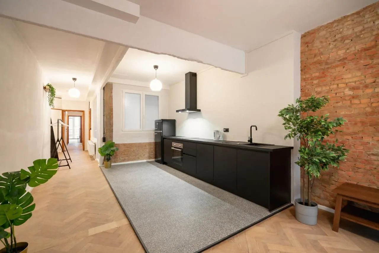Charming And Spacious Antwerp City Center Apartments 0*,