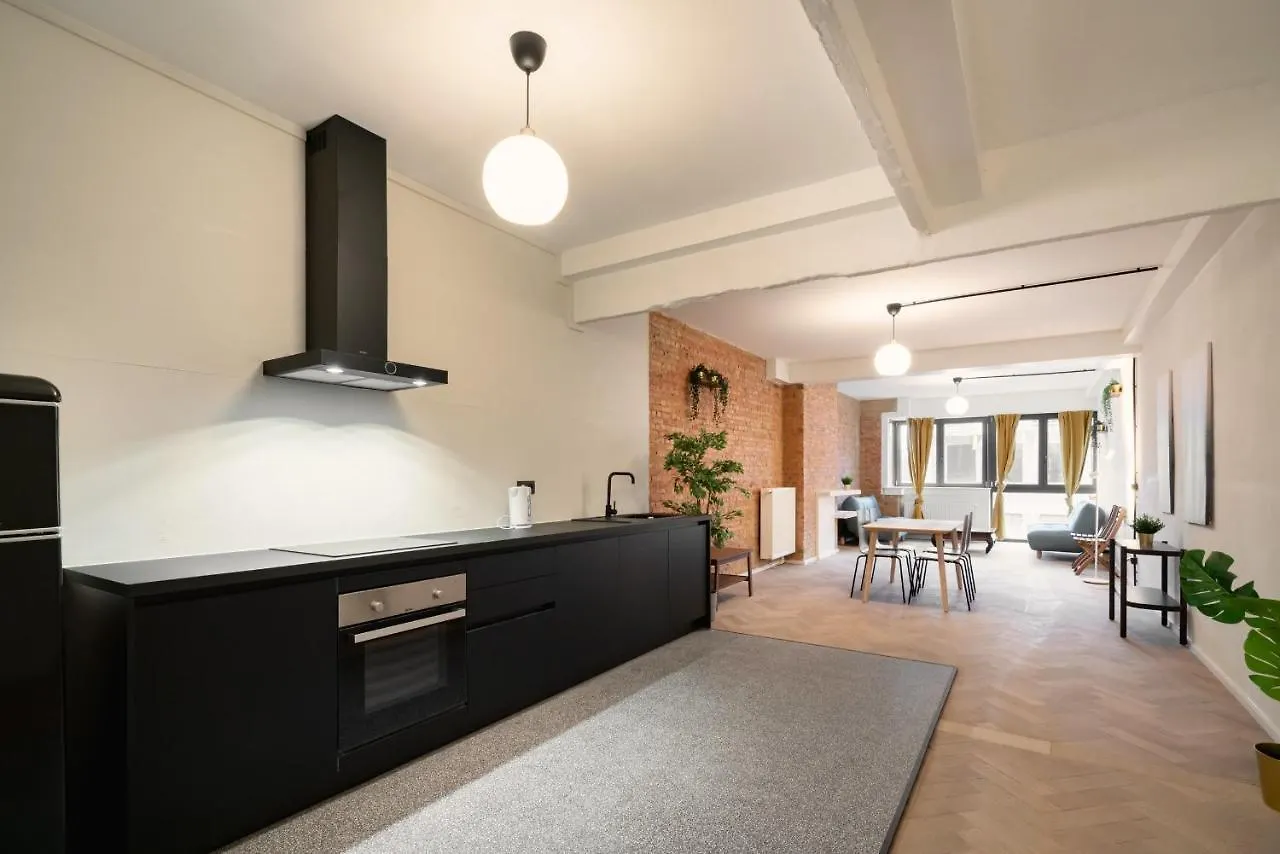 Charming And Spacious Antwerp City Center Apartments Belgie